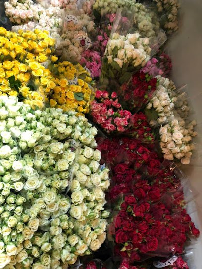 Elan flowers - Saudi Arabia|Al Qurayyat 77454|Almatar|حي