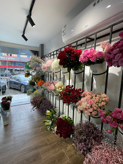 زهرة بانسيه BANSE FLOWER - Saudi Arabia|Jeddah 23522|Al Zahra|Hira St