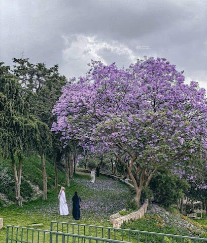 Abha khamis mashit - Riyadh -