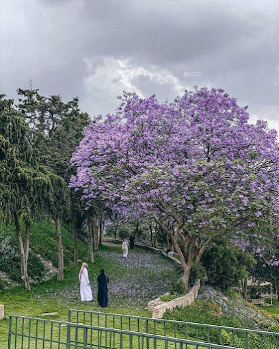 Abha khamis mashit - Riyadh Saudi Arabia|Abha Khamis|Mashit|8Q58+PFQ