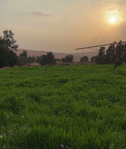 مزرعة الكوثر Alkawthr Farm - Al-Muzahmiya -