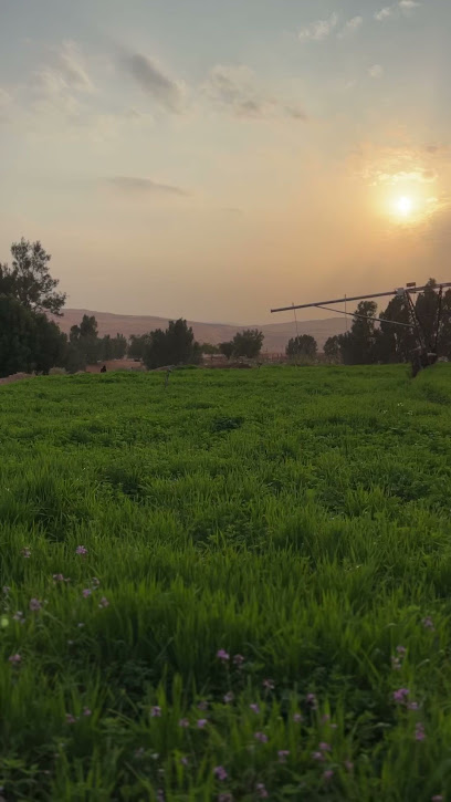 مزرعة الكوثر Alkawthr Farm - Saudi Arabia|Al-Muzahmiya 19642