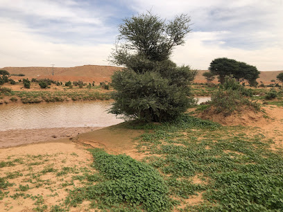 وادي النخيل - Tarmada -