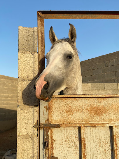 المهنا الروضة أم عروق - Saudi Arabia|Al Haitan 15941|LZJB3141، 3141|شارع معاذ بن جبل، 7749