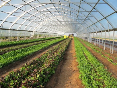Mojan Farms - Jeddah - +966 55 567 6301