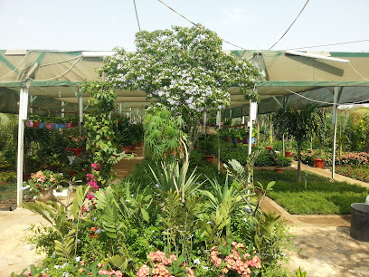 Garden Center & Consulting مركز الحدائق - Jeddah - +966 50 807 0502