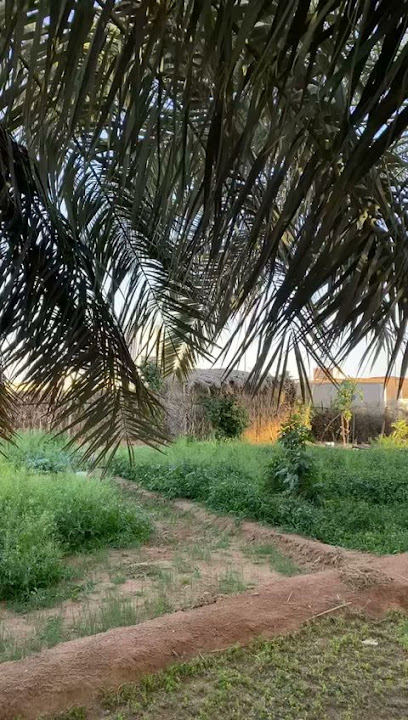 الصيفي - Hail 55473