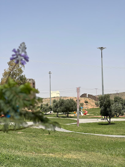 Castle Park - Saudi Arabia|Hail 55423|Al Samra|2257 King Abdulaziz Rd