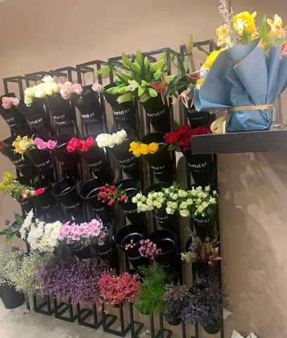 أزهار الشمس Sun Bloom - Mecca - +966 54 054 5988