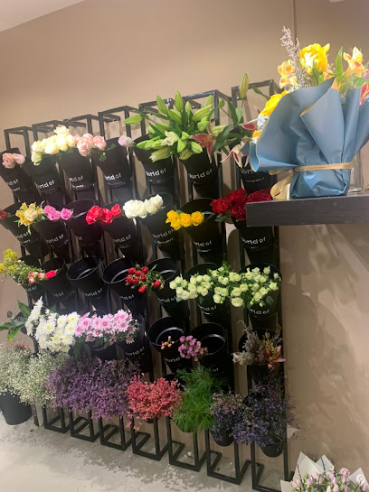 أزهار الشمس Sun Bloom - Saudi Arabia|Mecca 24321|Al Hamra Umm Al Jud|4432 شارع آمنه بنت وهب،