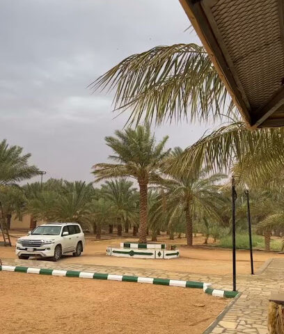 مزرعة عبدالعزيز العدواني - Hafar Al Batin - +966 53 282 2287