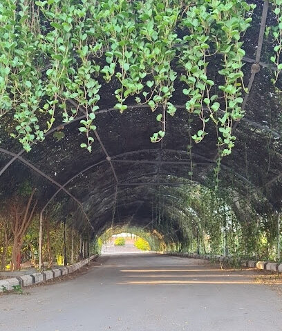 مزرعة الناصر - Uyun Al Jawa -
