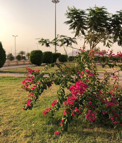 حديقة الحيلة - Albasrah -