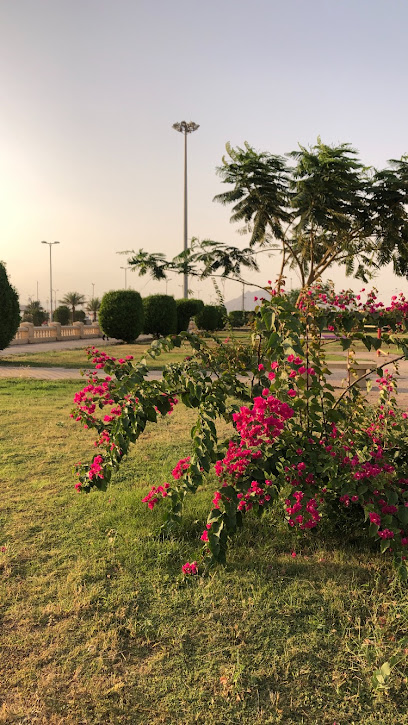 حديقة الحيلة - Saudi Arabia|63311|Albasrah|G387+VJ3
