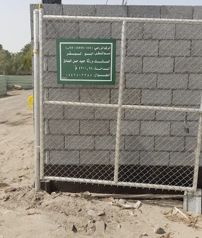 نخل ابوالبقر - Safwa -