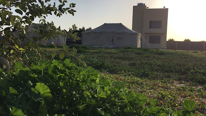مز عة يوسف فالح السرور - Hafar Al Batin - +966 50 594 5108