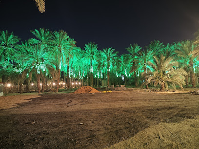 Vadi Buthan Hurma Bahçesi - Al Madinah Al Munawwarah - +966 55 747 4141