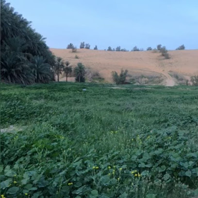 مزرعة الشيخ محمد حمود التويجري "الفحيل" - Buraydah -