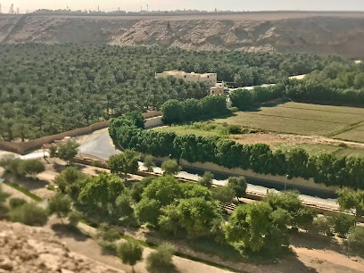 مسجد المزرعة - Riyadh -