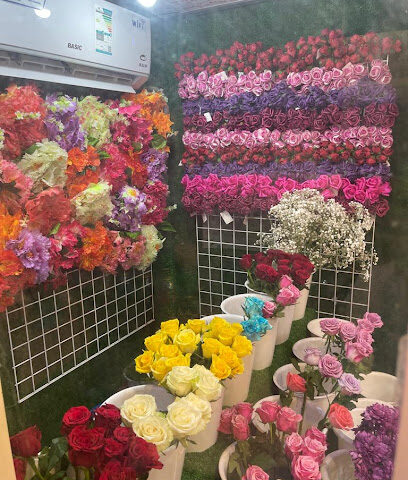 زهور الإكليل - Mecca - +966 50 482 4544