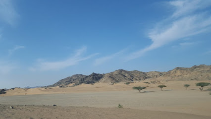 مزرعة الصلة -  - +966 54 227 3959