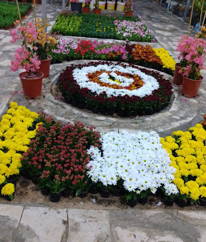 مشتل زهور السلطان - Hafar Al Batin - +966 54 031 9616