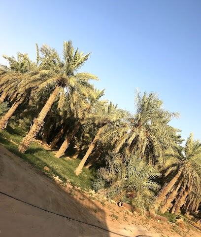 Farm Sayafa - slaves - Tumair -
