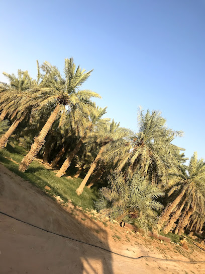 Farm Sayafa - slaves - Saudi Arabia|Tumair 15315|PV8J+33G