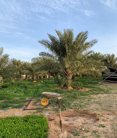 مزرعة عبدالرحمن الساكت - Hafar Al Batin - +966 55 594 6698