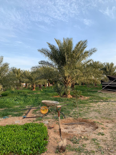 مزرعة عبدالرحمن الساكت - Saudi Arabia|Hafar Al Batin 39810|8WQ8+VWP