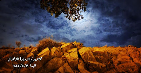 رمان مراوة - مراوة - +966 59 505 9509