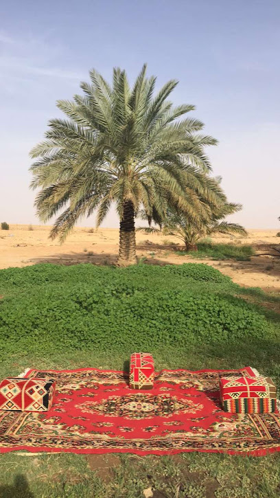 مزرعة الشيخ ناصر عبدالعزيز الخريف ( رحمه الله ) - Saudi Arabia|King Saud 15317|MWQ7+V9P