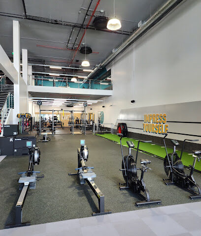 PureGym Man Khobar Golden Belt | الخُبر الحزام الذهبي للرجال - Al Khobar - +966 11 590 2648