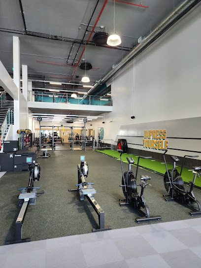 PureGym Man Khobar Golden Belt | الخُبر الحزام الذهبي للرجال - Saudi Arabia|Al Khobar 34432|Al Hizam Al Thahabi