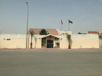 Embassy of the Czech Republic - Riyadh - +966 11 450 3617