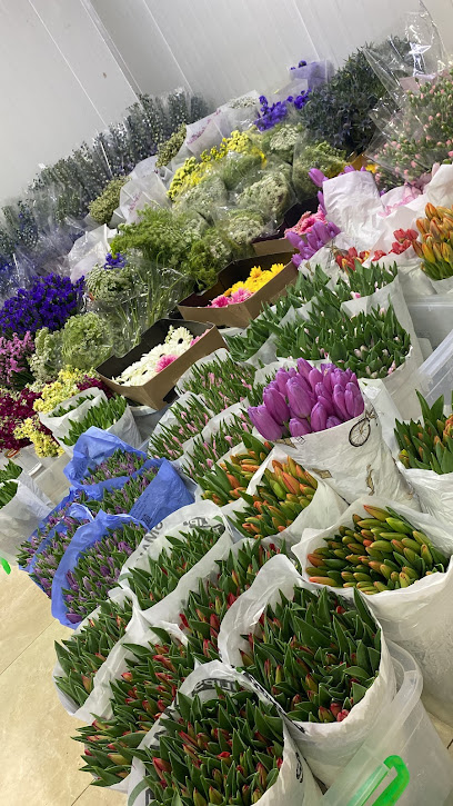 شركه الازهار الفاخره LUXURY FLOWERS - Saudi Arabia|3084 طريق الأمير سلطان بن عبدالعزيز، حي السليمانية، الرياض 12234 7960،