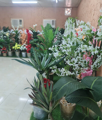 مشتل أزهار تالا - Hafar Al Batin - +966 59 464 4648