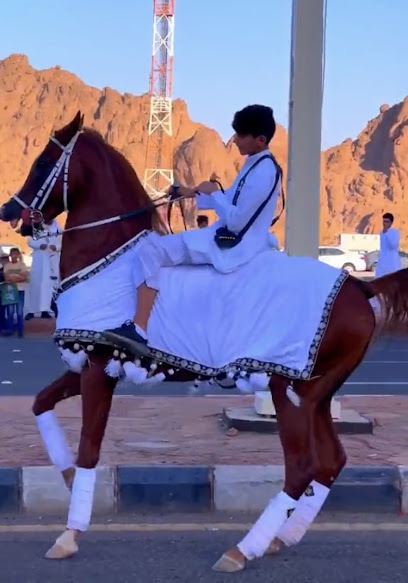 حفلات - Saudi Arabia|Hail 96655|Mak7h