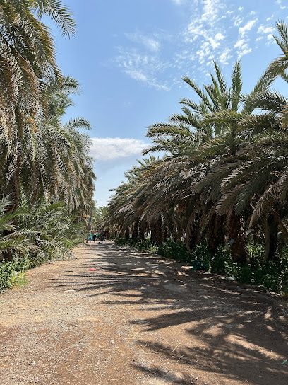 مزرعة ناحي العوفي - Saudi Arabia|42331،|حي