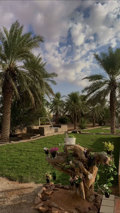 مزرعة ابناء هادي بن رميح التويمي - Saudi Arabia|Al Niqirah 39203|V7G7+77