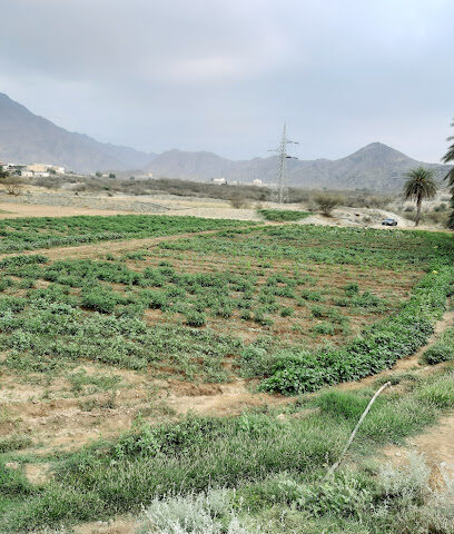 ودن الحسن - نخال -