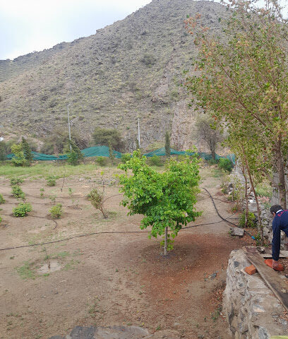 مزرعة التوت - Alhada -