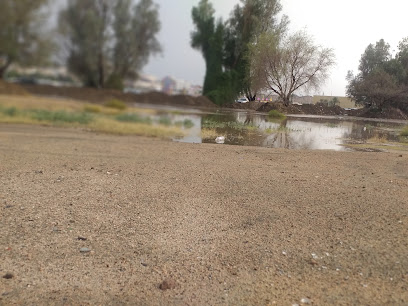 حديقة السحيلي 1 - حديقة جامع السعيد - Taif -