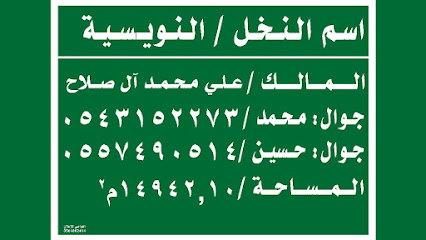 نخل النويسية - Safwa -