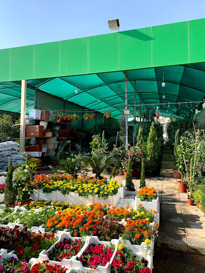 حدائق قادس ، Cadiz Gardens - Riyadh 13322