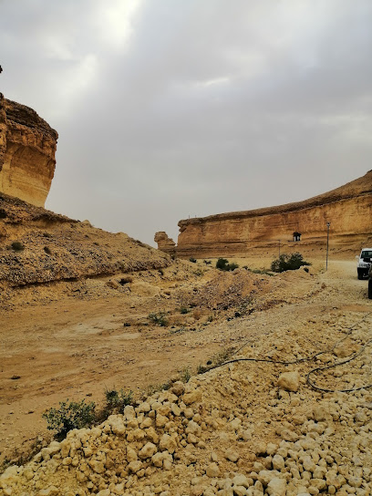 الضربول الأسفل - Saudi Arabia|15317