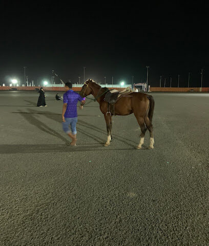 Horse Riding - Jazan -