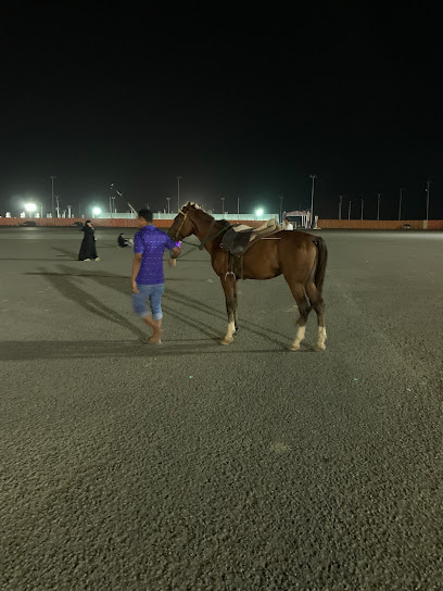 Horse Riding - Saudi Arabia|Unnamed Road