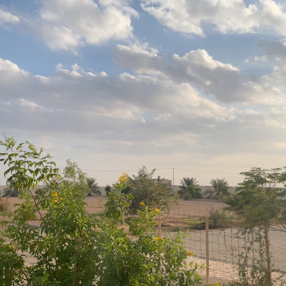 مزرعة صالح ناصر العجاجي - Uyun Al Jawa -