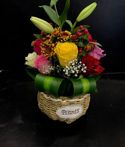 مرحبا المولود ٢ - Abha - +966 54 743 0345